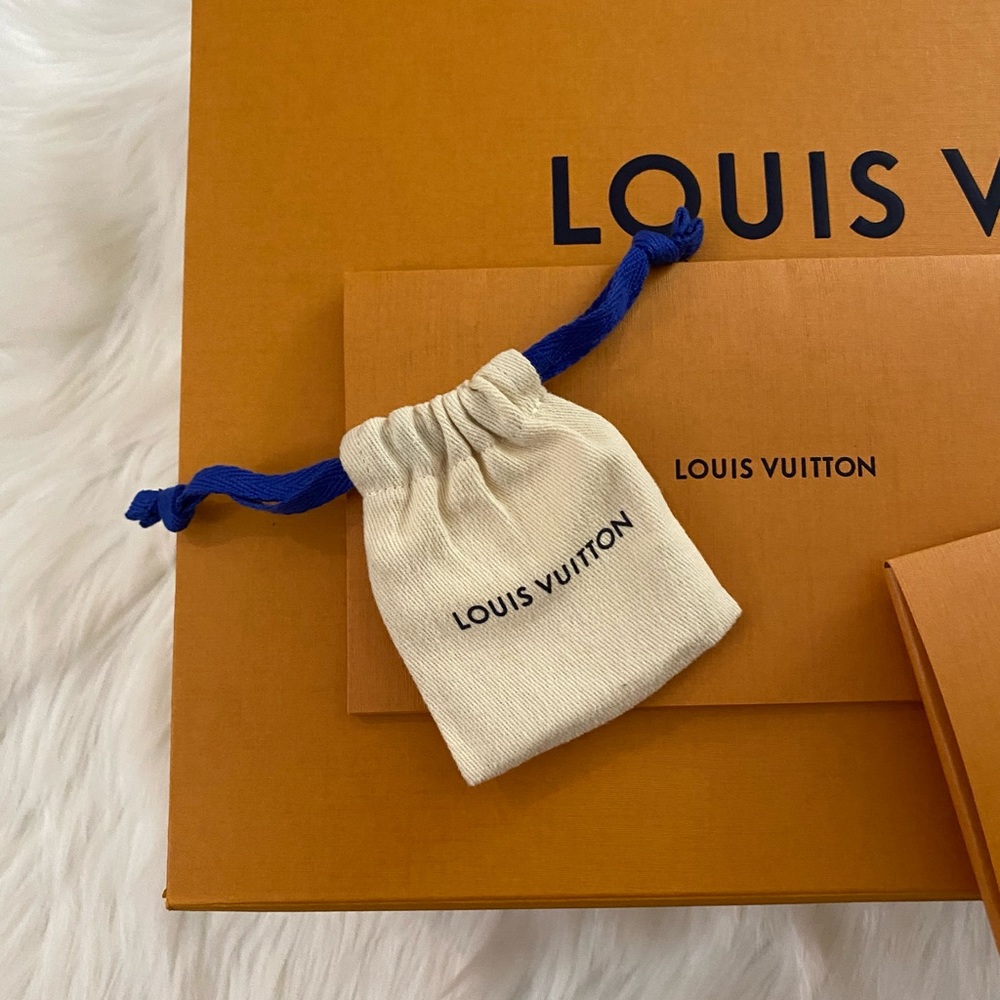 Louis Vuitton Cloth Accessory Bag